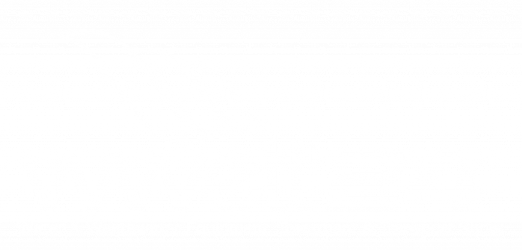 WHITE WWETT Show 2024 logo